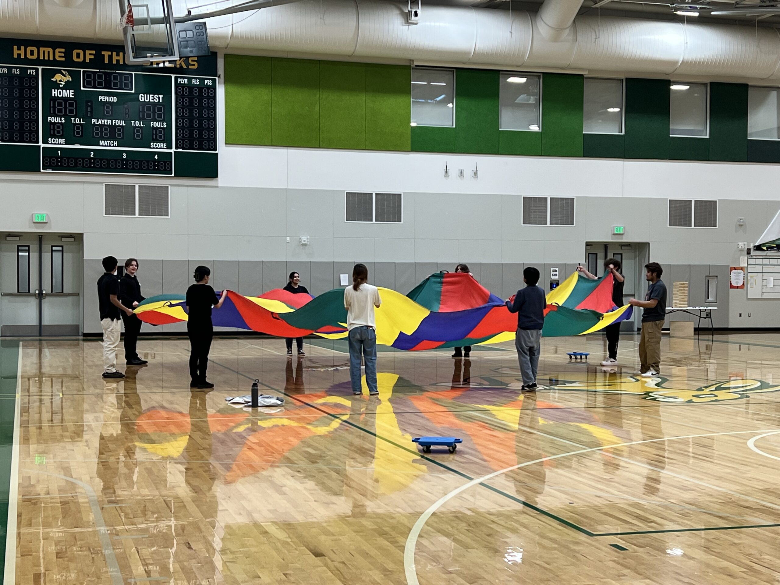 YAIPreventionProject